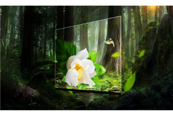 No More Spec Confusion: Ultimate Guide to LED Display Specs